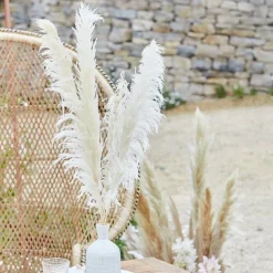 A Touch Of Pampas Bleached Pampas Grass (5Pk)<Party Delights Hot