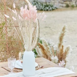 A Touch Of Pampas Blush Pink Dried Bunny Tail Grass (20Pk)<Party Delights Clearance