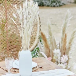 A Touch Of Pampas Off White Dried Bunny Tail Grass (20Pk)<Party Delights New