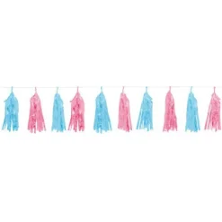 Blue & Pink Gender Reveal Foil Tassel Garland - 1.5M<Party Delights Clearance
