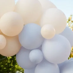 Blue And Nude Balloon Arch Kit - 75 Balloons<Party Delights New