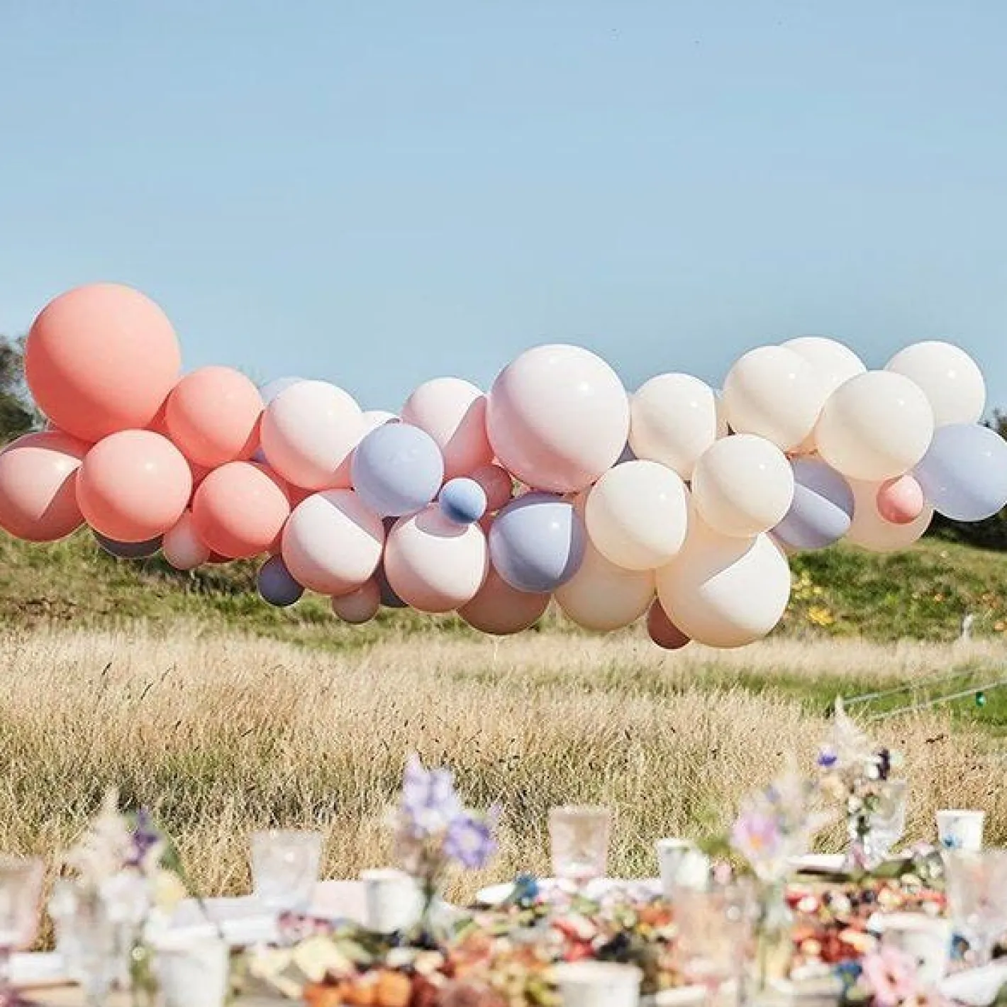 Blush, Nude & Blue Balloon Arch Kit - 60 Balloons<Party Delights Best