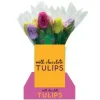 Chocolate Tulip - 16G<Party Delights Best