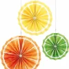 Citrus Fruit Tissue Paper Fans (3Pk)<Party Delights Clearance