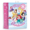 Party Delights Gift Wrapping<Disney Princess Large Gift Bag - 33Cm X 26Cm