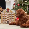 Party Delights Christmas Party Accessories<Dog Kennel Fill Your Own Advent Calendar - 45Cm