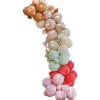 Farm Friends Balloon Arch - 70 Balloons<Party Delights Discount