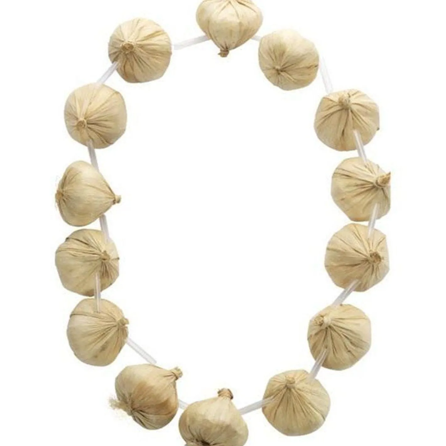 Garlic Garland - 1.06M<Party Delights Hot