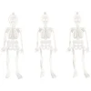 Party Delights Skeletons & Tombstones<Glow In The Dark Skeletons (16Pk)