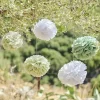 Green And White Paper Pom Pom Decorations (5Pk)<Party Delights Hot