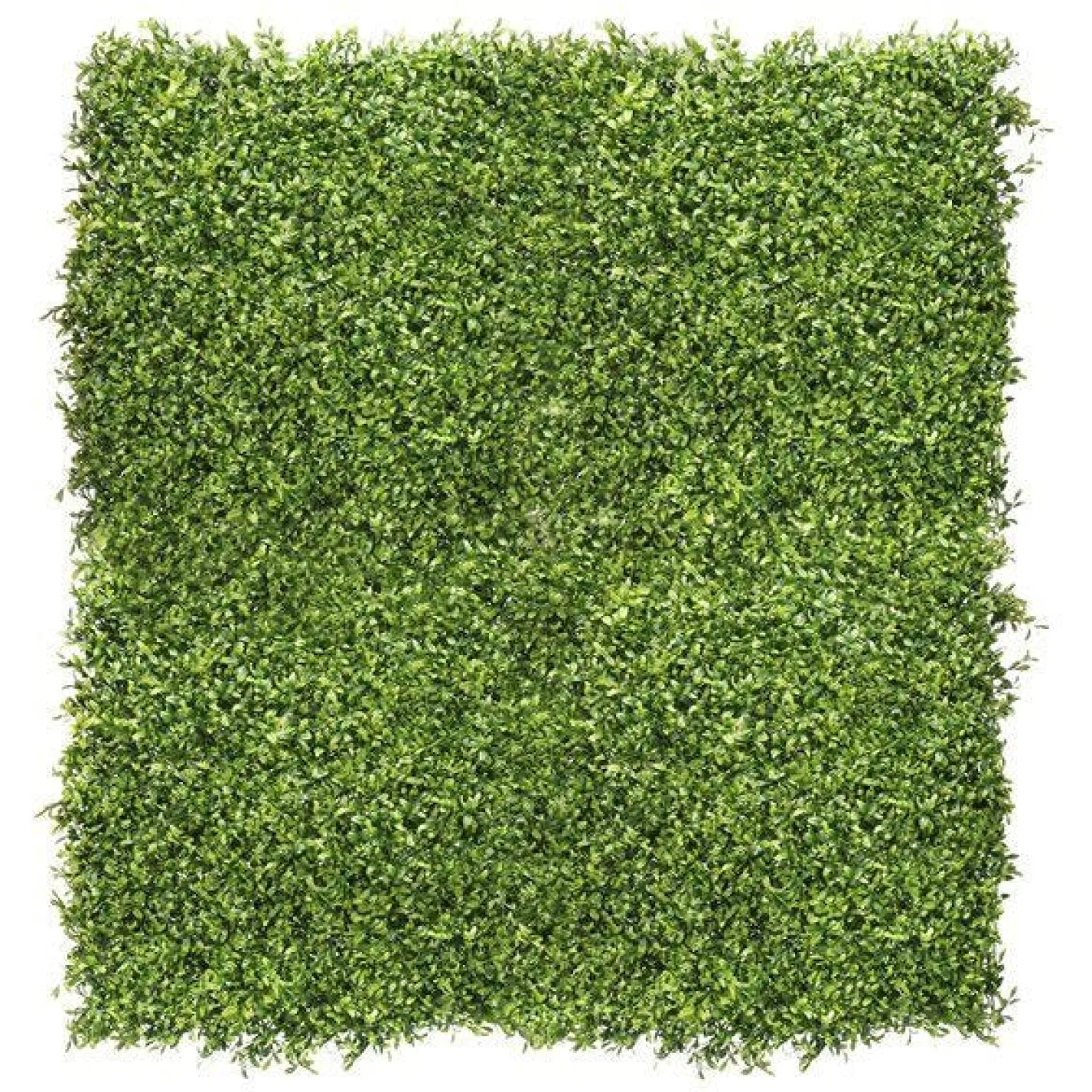 Green Plant Wall Kit - 1M (4Pk)<Party Delights Sale