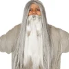 Grey Long Wig<Party Delights New