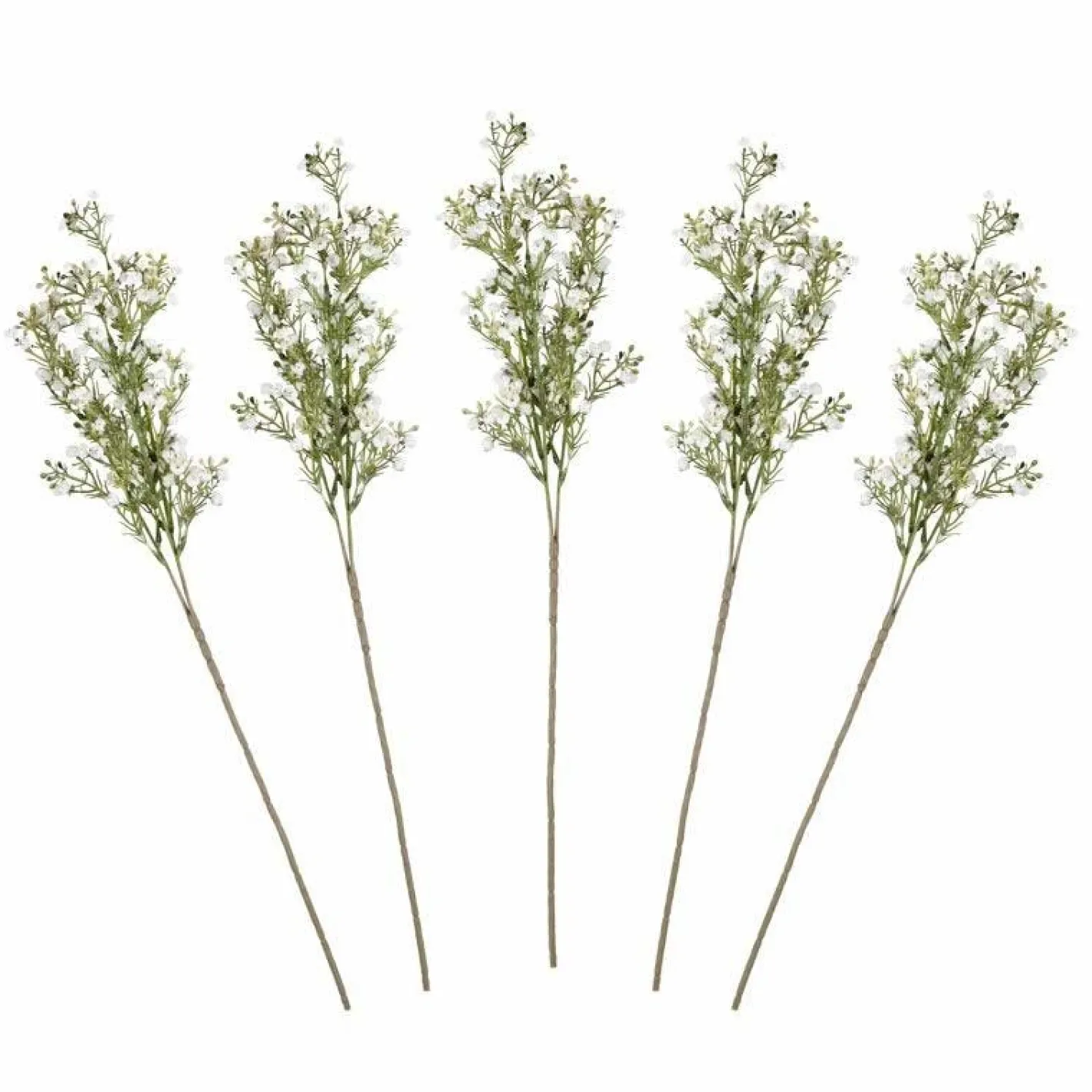 Gypsophilia Foliage Stems (5Pk)<Party Delights Best