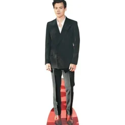Harry Styles Cardboard Cutout - 90Cm X 24Cm<Party Delights