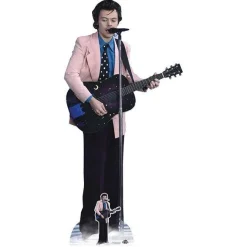 Harry Styles Pink Jacket Cardboard Cutout - 186Cm X 89Cm<Party Delights New