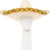 Mexican Sombrero<Party Delights New