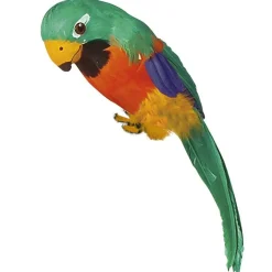 Parrot - 38Cm<Party Delights