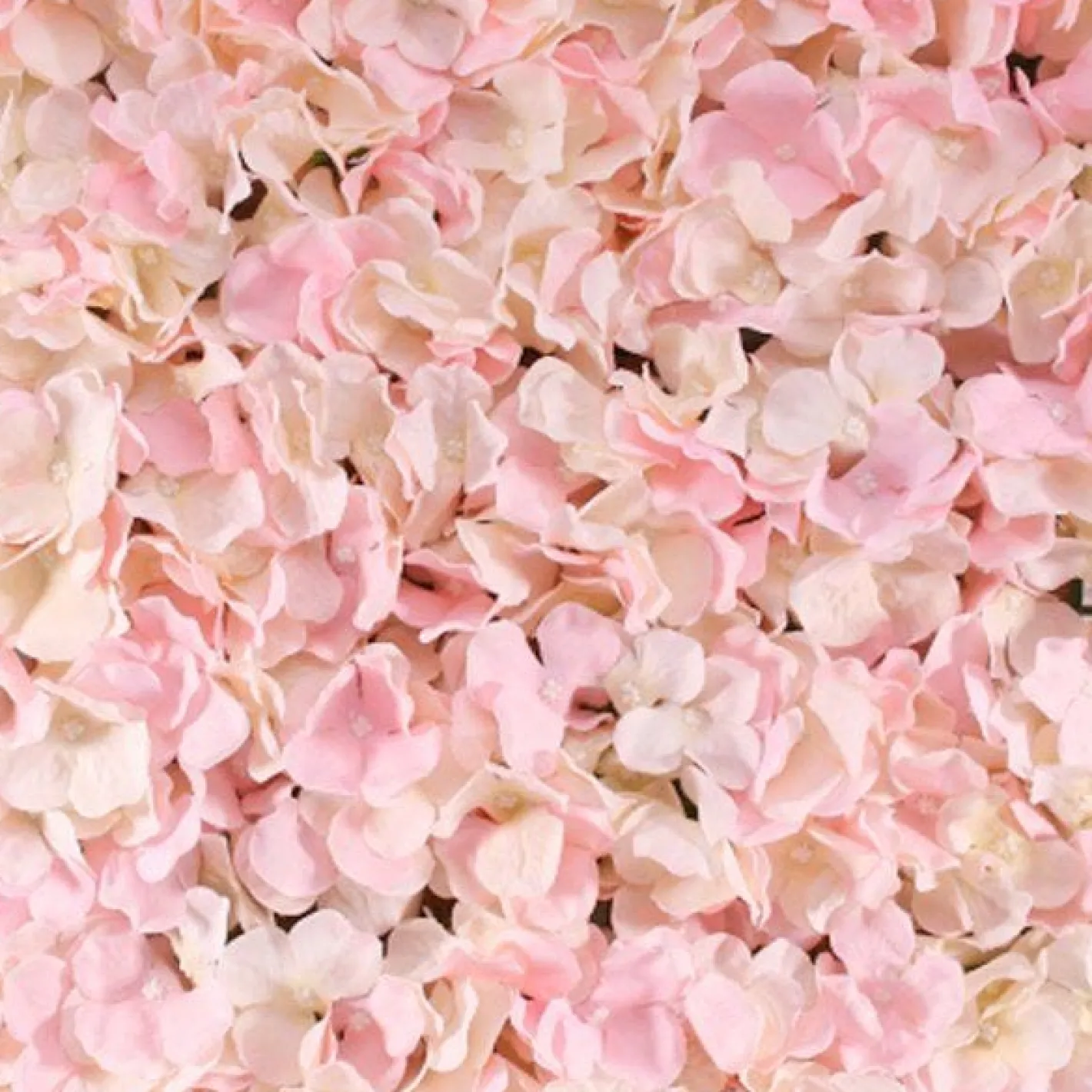 Pink Hydrangea Flower Wall - 60Cm<Party Delights