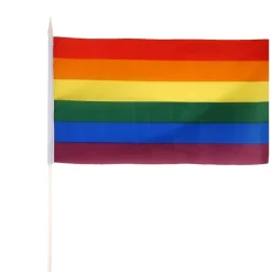 Pride Hat And Glasses Accessory Kit<Party Delights Clearance