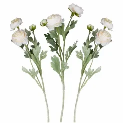 Ranunculus Foliage Stems (3Pk)<Party Delights Online