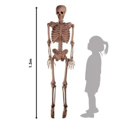Party Delights Skeletons & Tombstones<Realistic Skeleton - 1.5M Halloween Prop