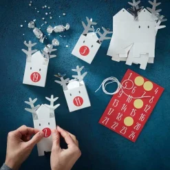 Party Delights Christmas Party Accessories<Reindeer Christmas Advent Calendar Boxes (24Pk)