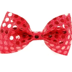 Ringmistress Accessory Kit<Party Delights Outlet