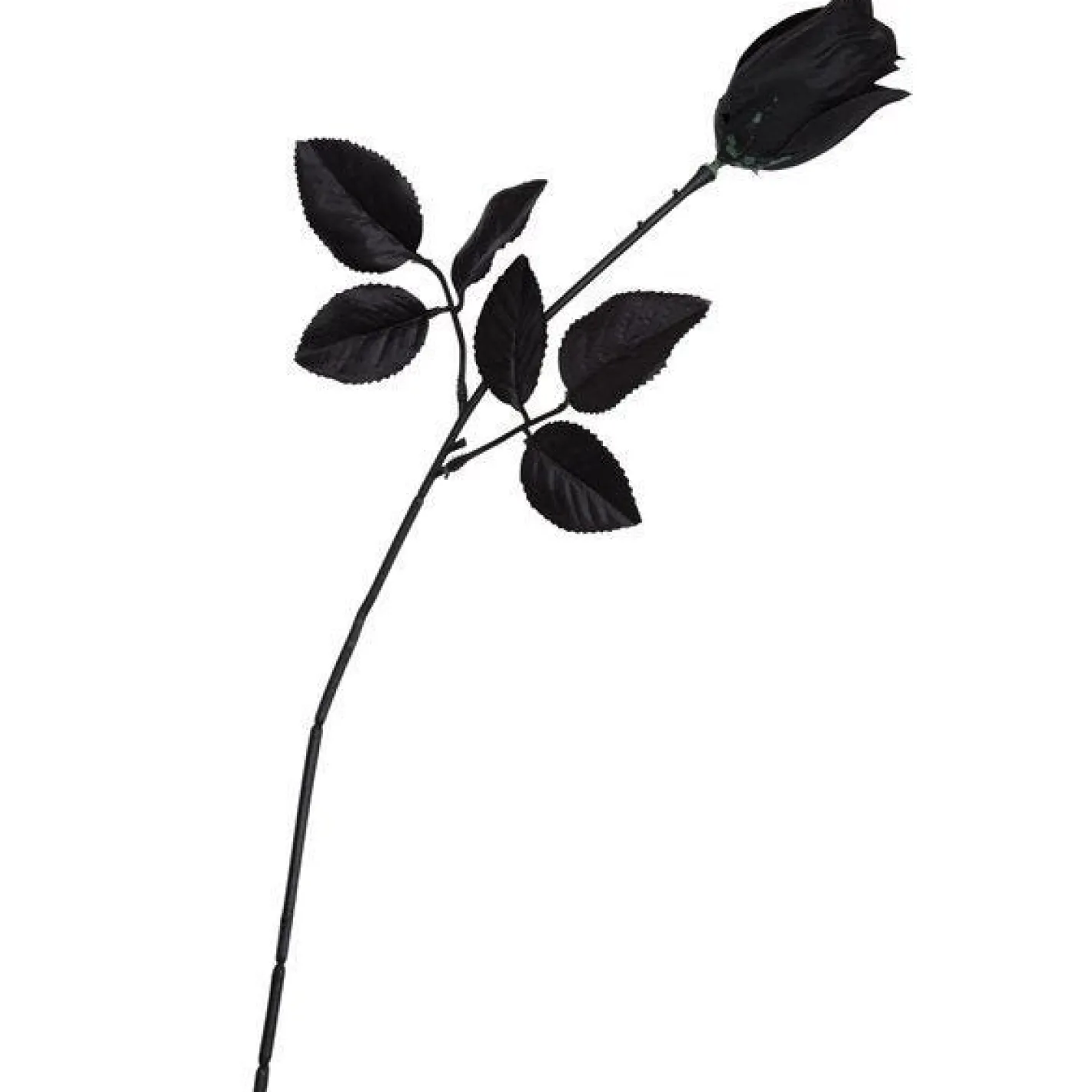 Party Delights Props<Rose Black