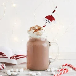 Party Delights Tableware<Santa Hat Red & White Stripe Paper Straws (20Pk)