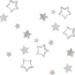 Party Delights Tableware<Silver Foil Star Confetti (13G)