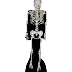 Skeleton Cardboard Cutout - 189Cm X 57Cm<Party Delights Discount