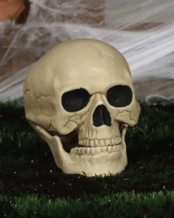 Party Delights Skeletons & Tombstones<Skull - 20Cm
