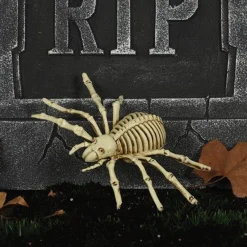 Party Delights Props<Spider Skeleton - 24Cm