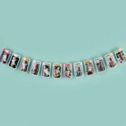 1St Birthday Milestone Photo Banner<Party Delights Hot
