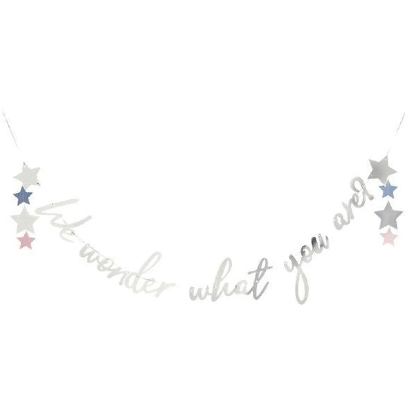 We Wonder What You Are Letter Banner - 2M<Party Delights Online