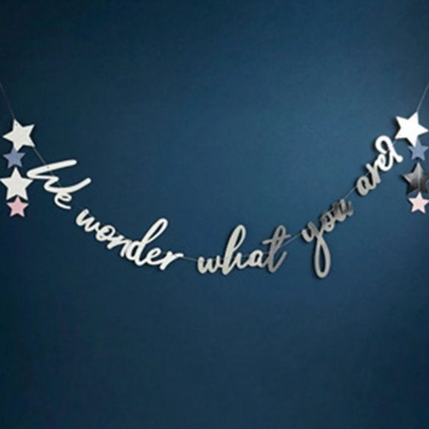 We Wonder What You Are Letter Banner - 2M<Party Delights Online