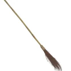 Women's Party Delights Women's<Witches Broom - 1.1M