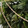 Wooden Beads Garland - 3M<Party Delights Clearance